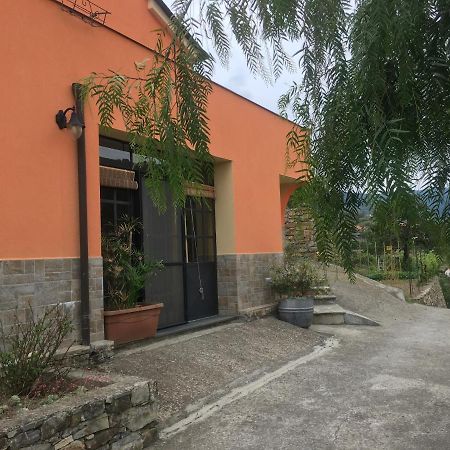 Olivo Al Mare - By Host4U Apartment Dolcedo Exterior photo